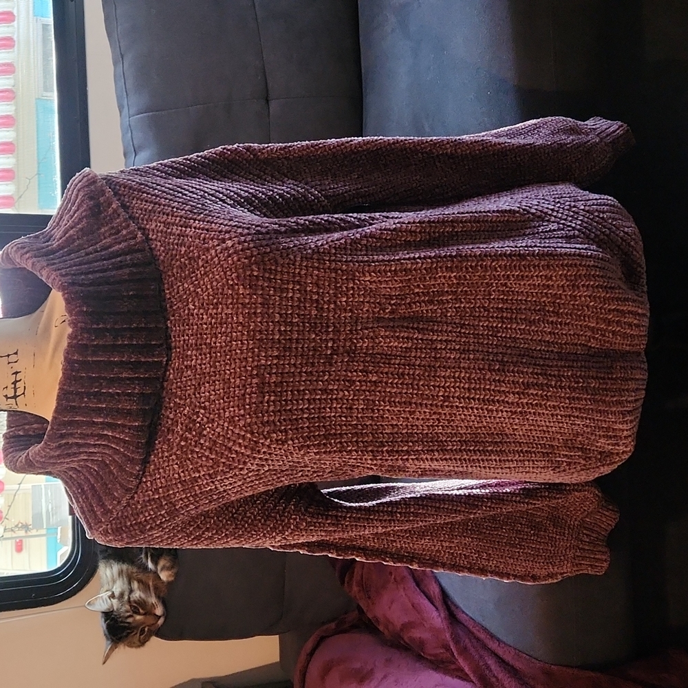 Lovely Velvet Turtleneck